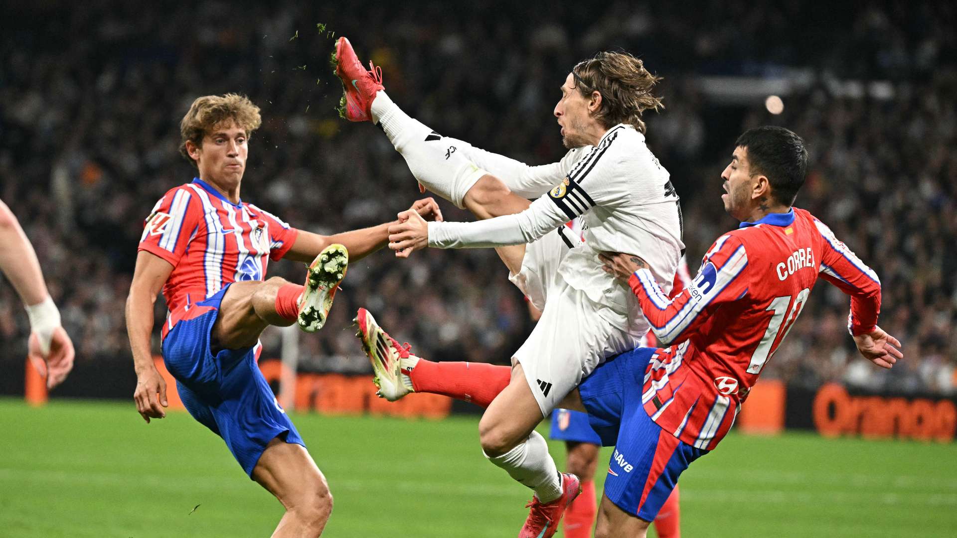 或类似的选 或类似的选